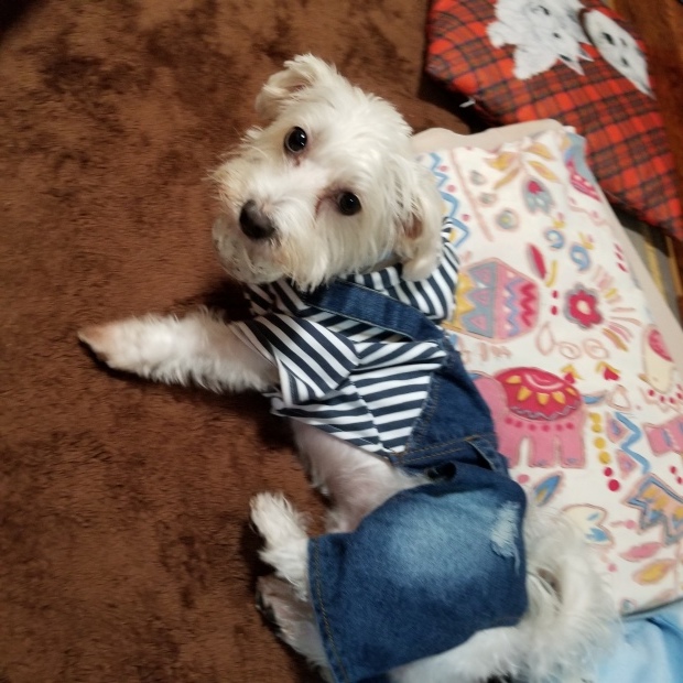ボール大好き😆💕_f0034444_21402992.jpg