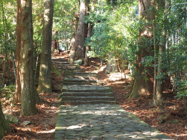 熊野古道、大門坂_d0193569_07480146.jpg