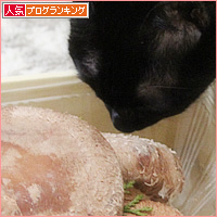 王様が来た!_a0389088_14045808.jpg