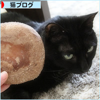 王様が来た!_a0389088_14045855.jpg