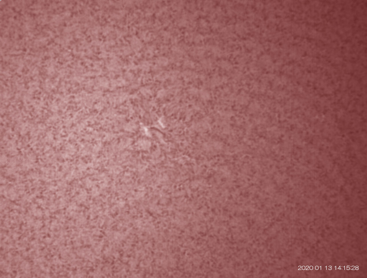 1月13日の太陽_e0174091_17232574.jpg