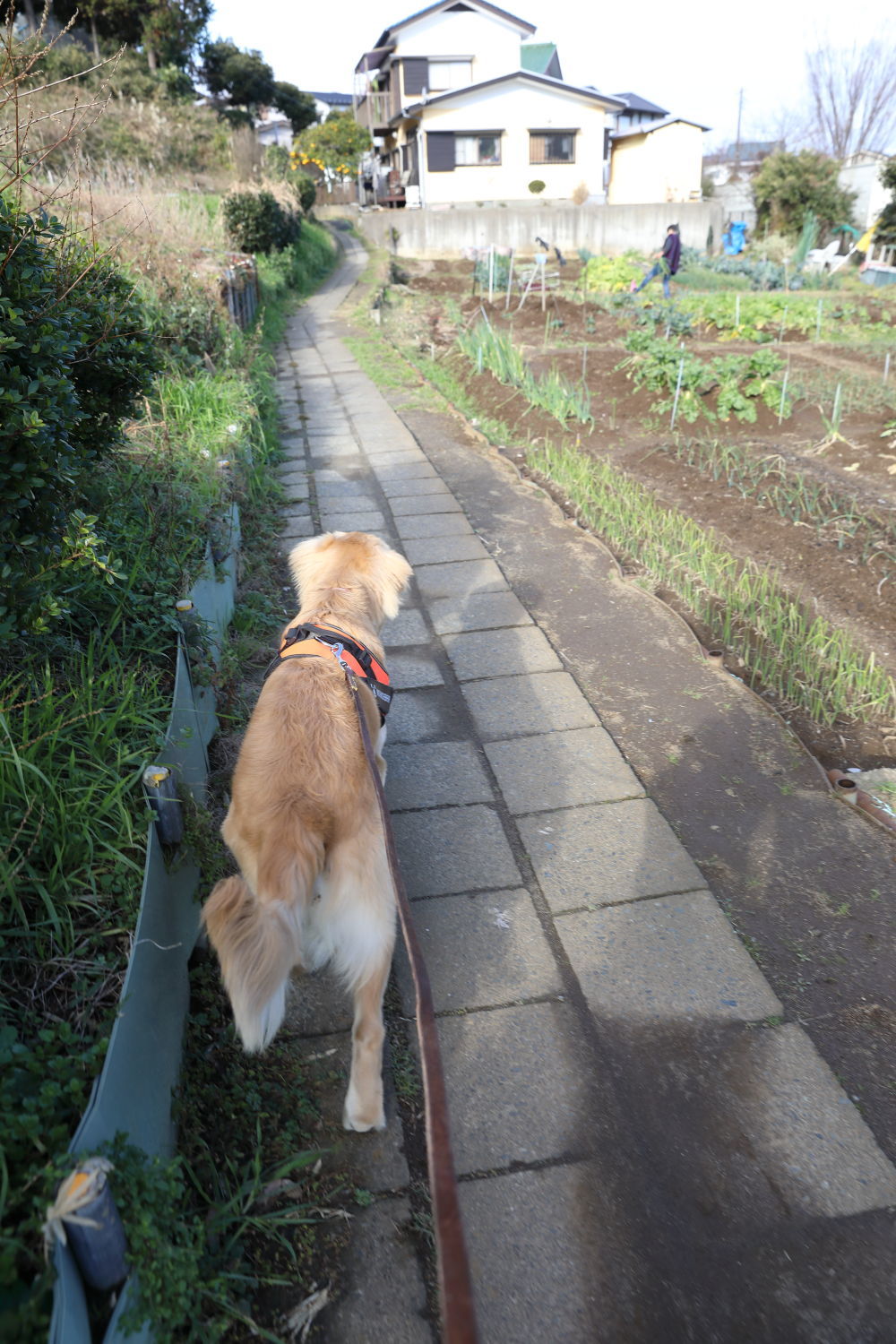 外面だけは♪_b0275998_10555541.jpg