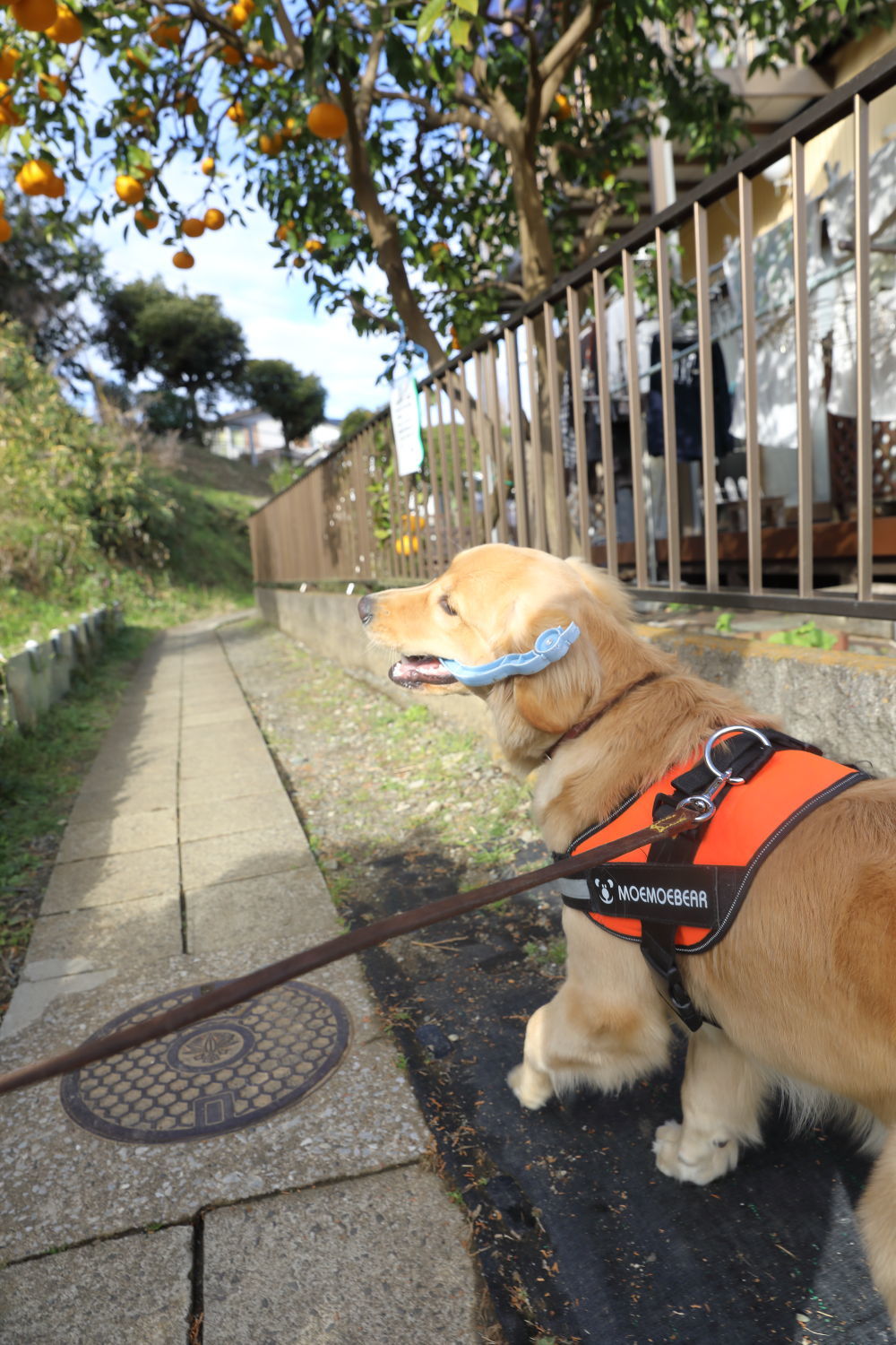 外面だけは♪_b0275998_10560951.jpg