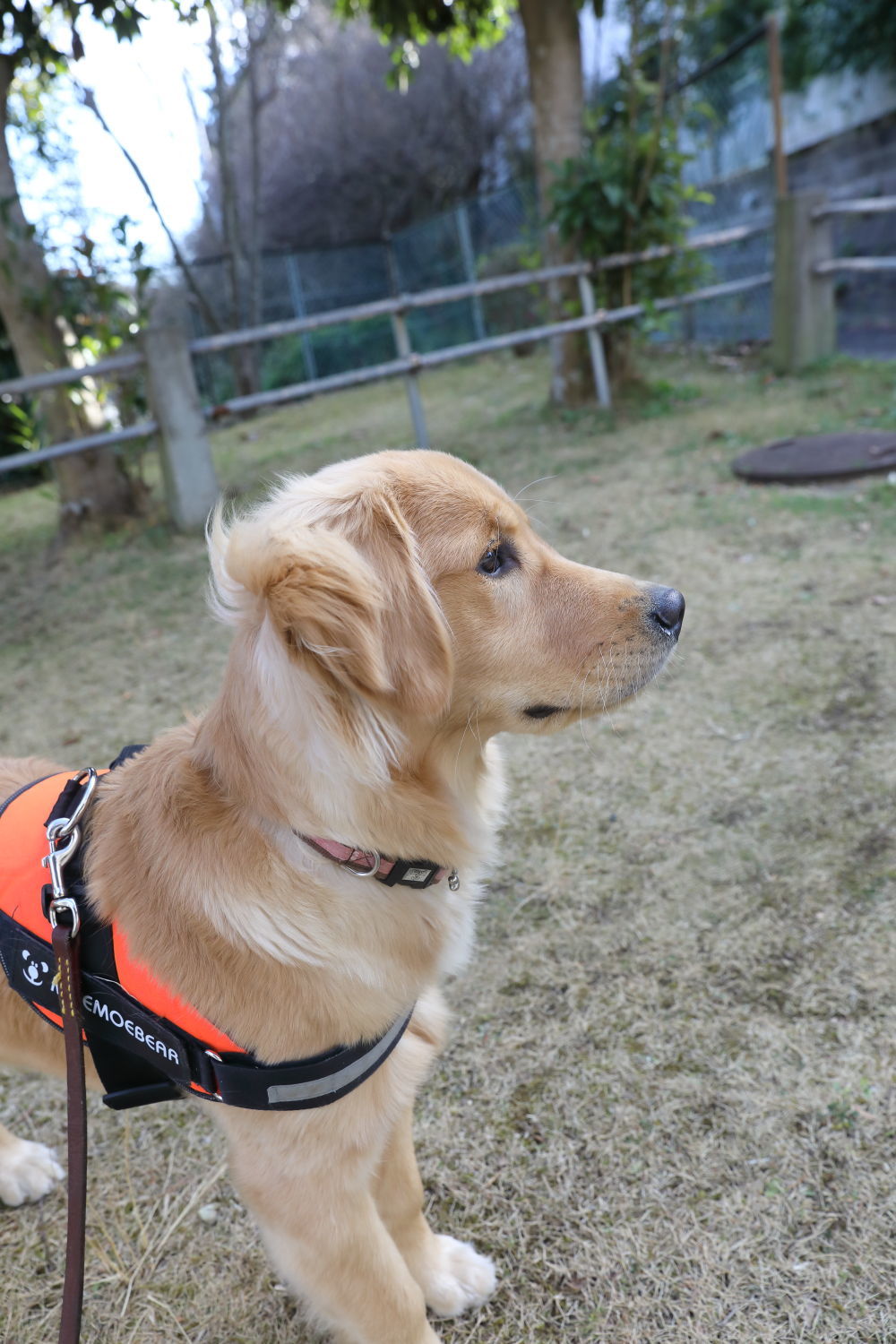 外面だけは♪_b0275998_10572360.jpg