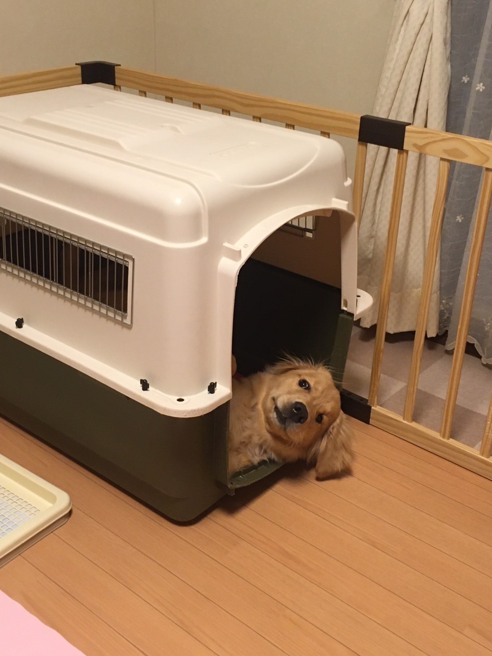 外面だけは♪_b0275998_11241445.jpg