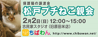_f0078320_12182695.png