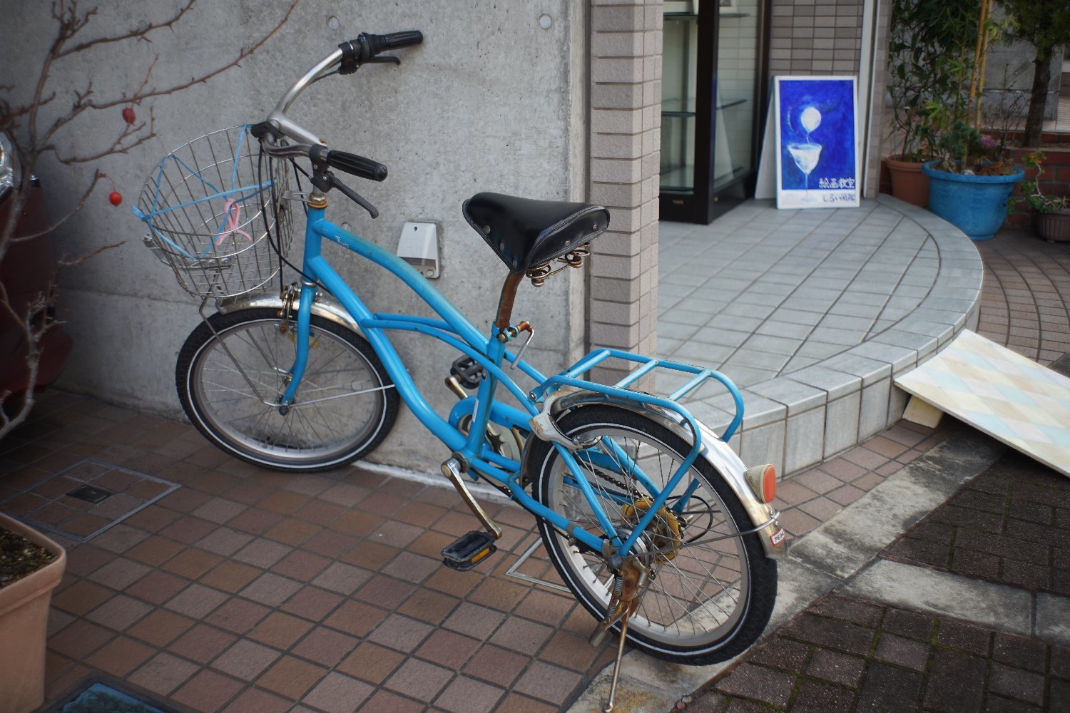 フレクトゴン 35mm F2.8 で_b0069128_09555791.jpg