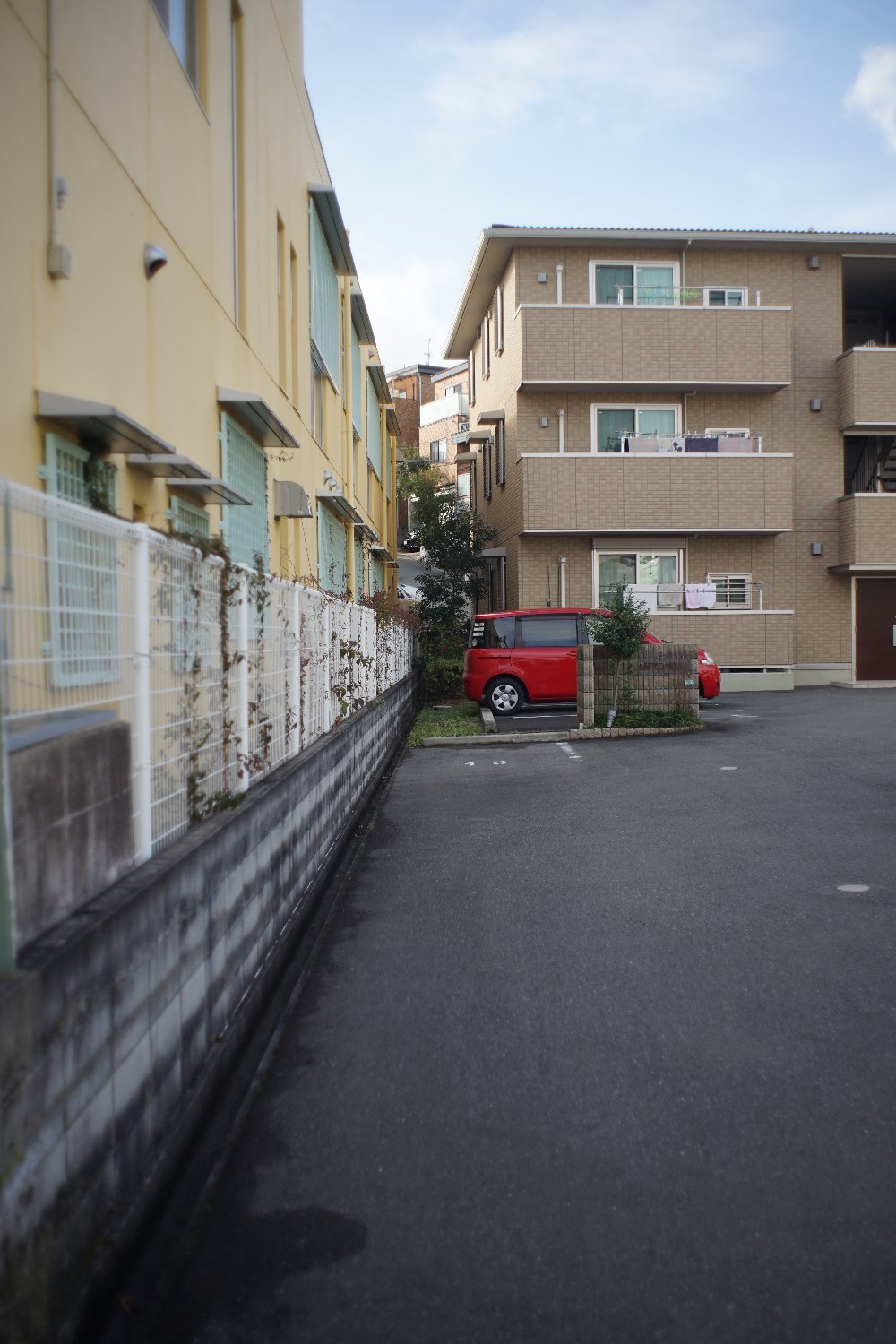 フレクトゴン 35mm F2.8 で_b0069128_09565336.jpg