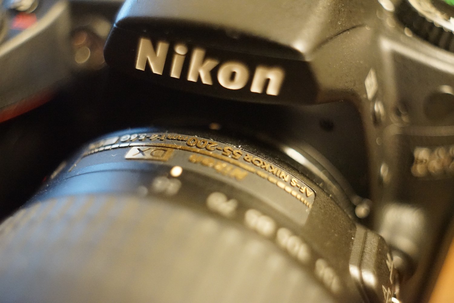 フレクトゴン 35mm F2.8 で_b0069128_09571597.jpg