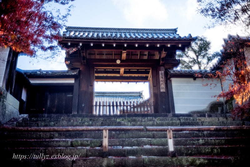 京都の秋2019(43)_d0108132_11573072.jpg