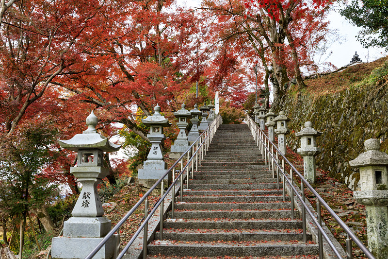 花紅葉都噺 - 和書