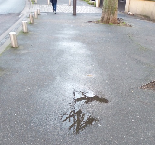 素晴らしい晴れの日に。。近所を歩く。_f0221050_08014144.jpeg