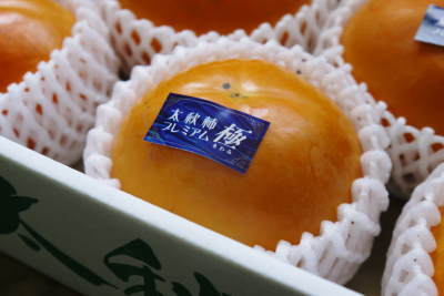 太秋柿 令和3年度の収穫へ向け匠の剪定作業_a0254656_16541139.jpg
