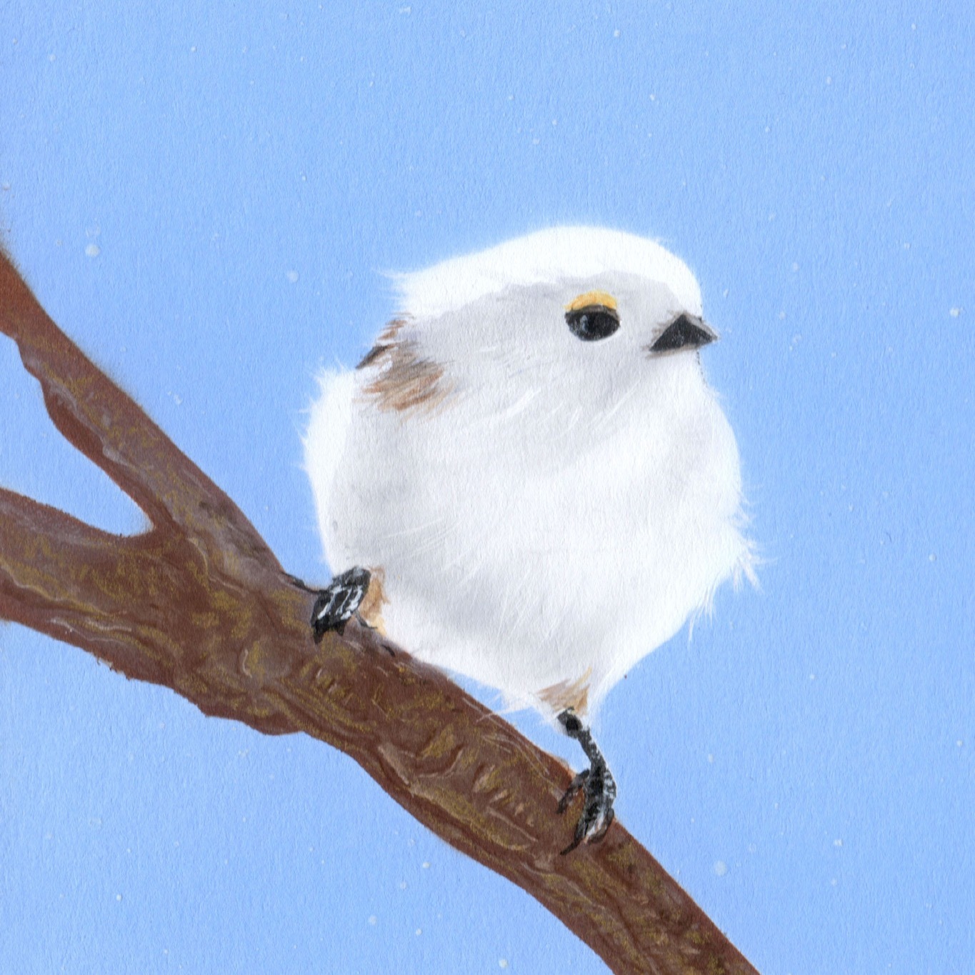 毎日一絵チャレンジ アクリル画 シマエナガ Ver 4 2 メイキング 白銀の鳥展 Junya Blog 猫 犬 リアリズム絵画