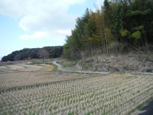 山の辺の道のんびりポタリング_b0332867_21165579.jpg