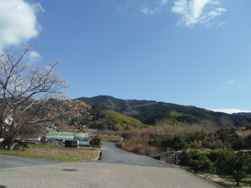 山の辺の道のんびりポタリング_b0332867_21200214.jpg