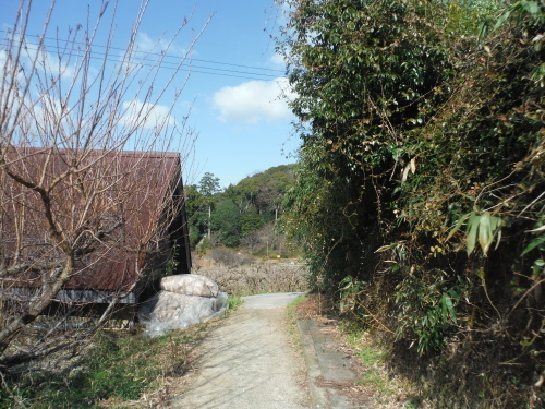 山の辺の道のんびりポタリング_b0332867_21205541.jpg
