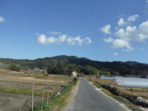 山の辺の道のんびりポタリング_b0332867_21272235.jpg