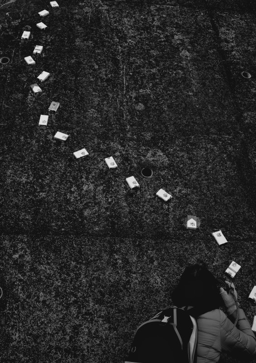 スナップ Hasselblad 500 C/CM & Planar 80mm F2.8 T-MAX100_c0251576_06020605.jpg