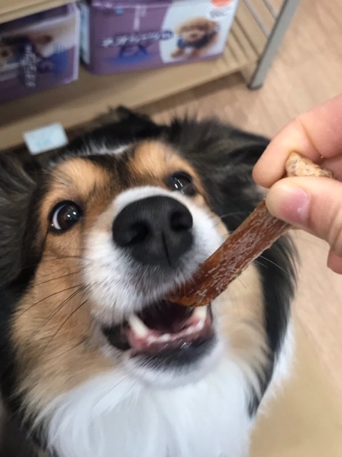 トレーニングブログ_f0357682_15331706.jpeg