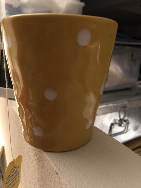 雪待ってるの_b0098584_21184498.jpeg
