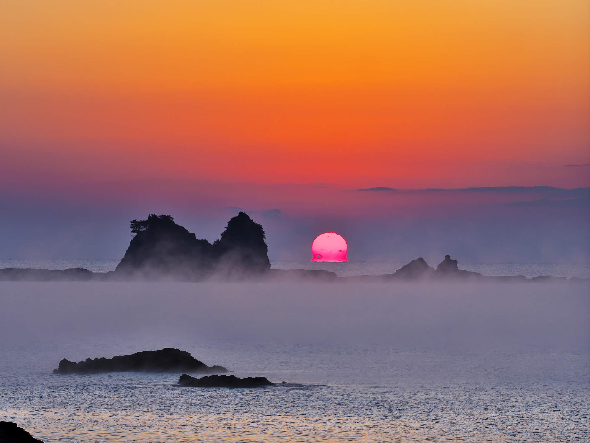 田原海岸の海霧 気ままな写真帳 田原海岸の海霧 気ままな写真帳