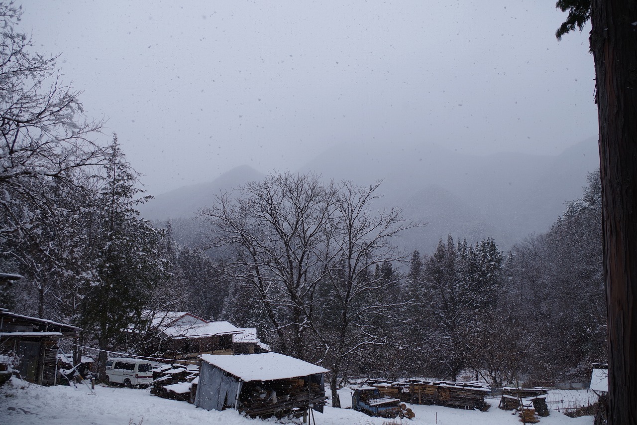 雪降りですが・・・。_f0114346_11502096.jpg