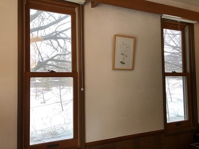 雪が降っています・・・が_f0019247_1594446.jpg