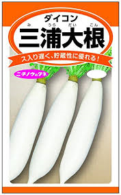 <2019年12月>職場後輩達との三浦半島(城ケ島・三崎・油壷)ウォーキング_c0119160_19162292.png
