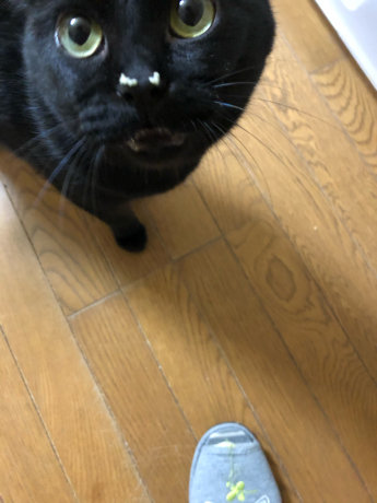 お鼻についているのは?_e0355177_14275878.jpg