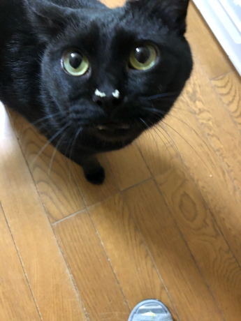 お鼻についているのは?_e0355177_14275949.jpg