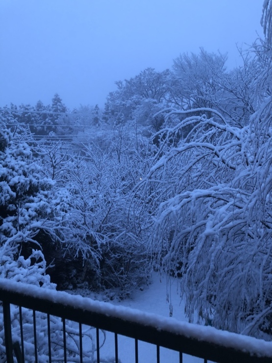 2020年１月１８日　雪降りました_b0098584_18250552.jpeg