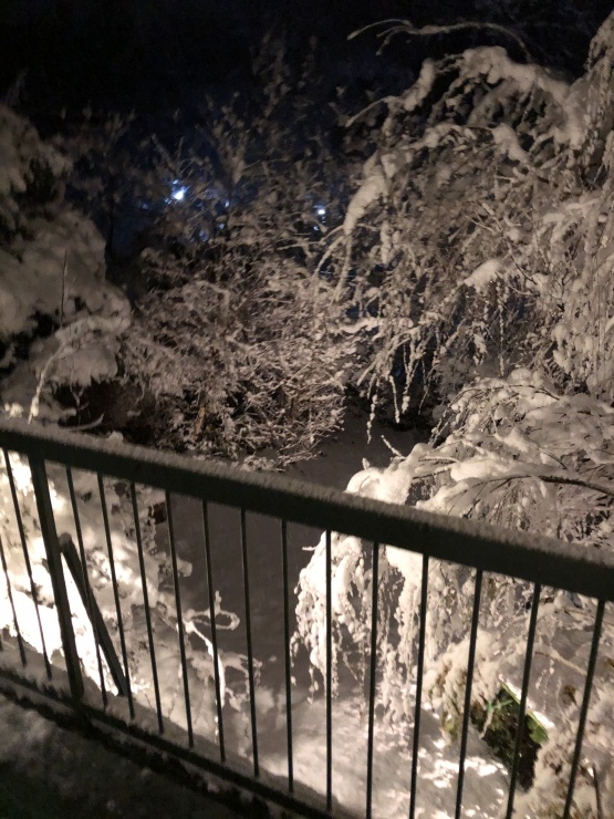 2020年１月１８日　雪降りました_b0098584_18260557.jpeg