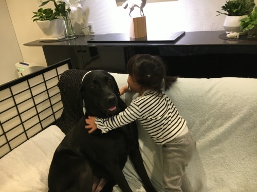 昨夜、babyがやって来た。_f0347891_15354732.jpeg