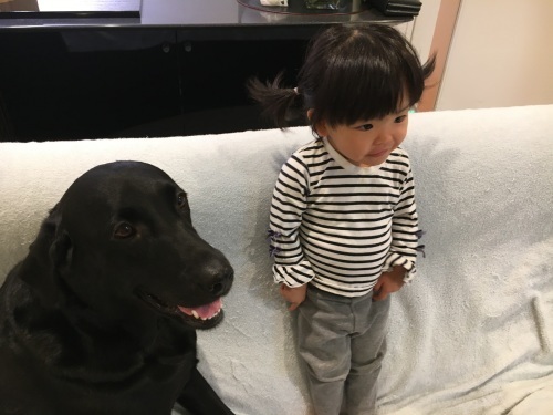 昨夜、babyがやって来た。_f0347891_15363347.jpeg