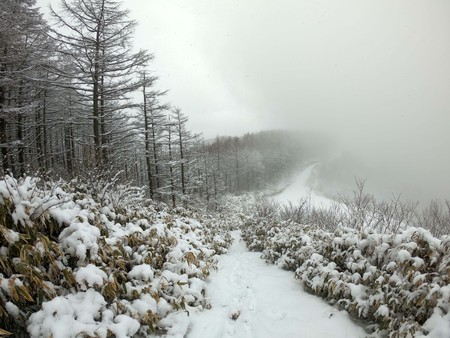 高嶺山登山_a0026295_1654180.jpg