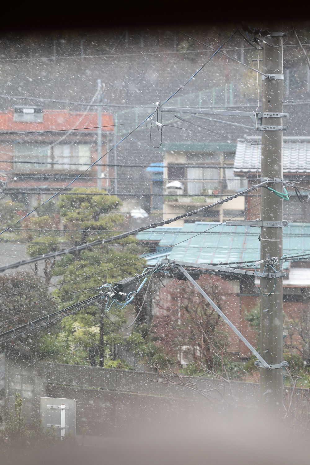 週末の一杯♪_b0275998_12492260.jpg