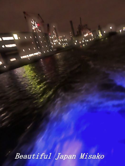 工場夜景ジャングルクルーズ・゚☆、・:`☆・・゚・゚☆。横浜_c0067206_12315045.jpg