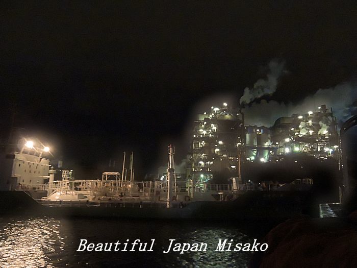 工場夜景ジャングルクルーズ・゚☆、・:`☆・・゚・゚☆。横浜_c0067206_12321507.jpg