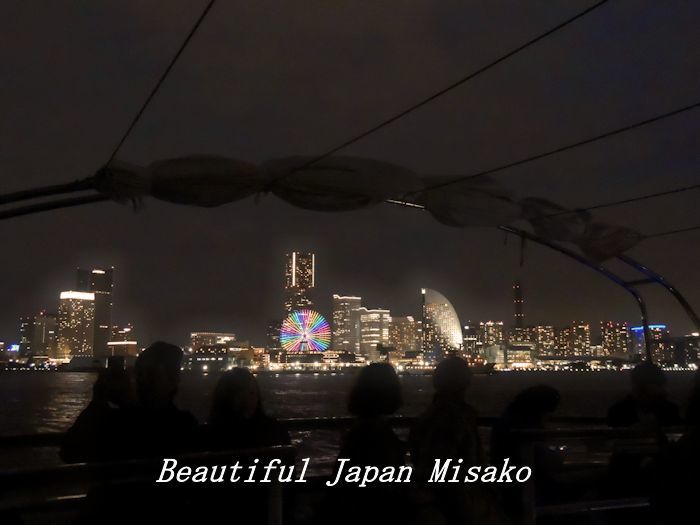 工場夜景ジャングルクルーズ・゚☆、・:`☆・・゚・゚☆。横浜_c0067206_12322586.jpg