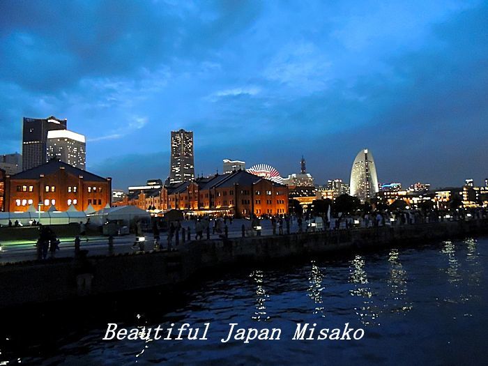 工場夜景ジャングルクルーズ・゚☆、・:`☆・・゚・゚☆。横浜_c0067206_12322919.jpg