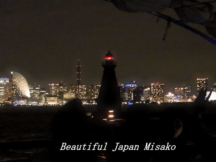 工場夜景ジャングルクルーズ・゚☆、・:`☆・・゚・゚☆。横浜_c0067206_12323068.jpg