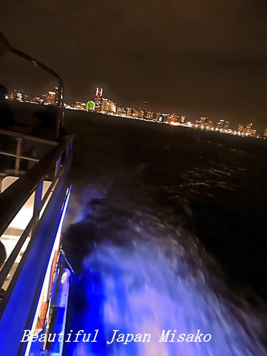 工場夜景ジャングルクルーズ・゚☆、・:`☆・・゚・゚☆。横浜_c0067206_12323396.jpg