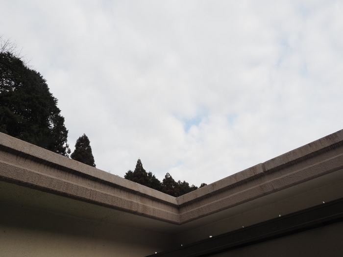 曇りのち小雨のち晴れ_c0116915_23555634.jpg