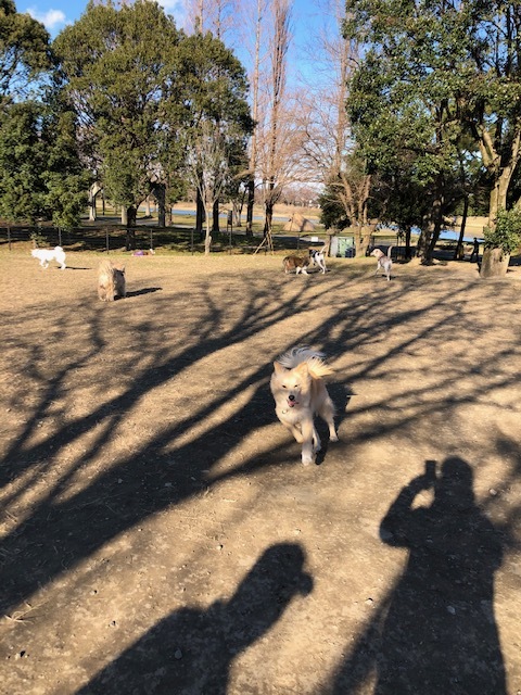 明けましておめでとうございます!_d0046821_20564867.jpg