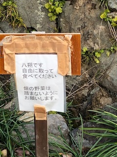 新聞配達9日目 サムシング グレートとは 読書感想 壮大な宇宙の声に耳を傾けて生きる 多良岳の仙人 新聞配達9日目 サムシング グレートとは 読書感想 壮大な宇宙の声に耳を傾けて生きる 多良岳の仙人