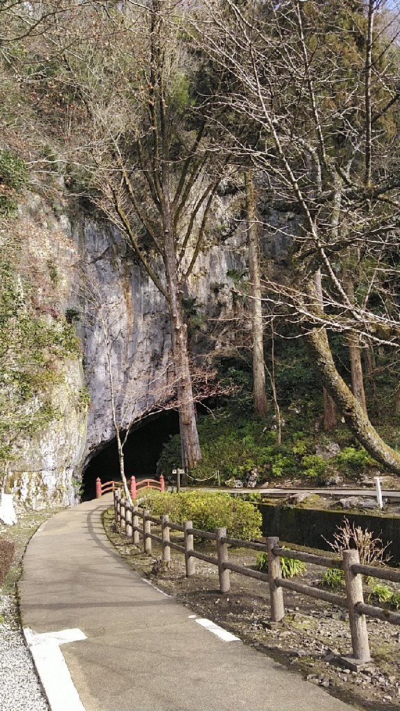オレンジトロフィ、良..._a0085632_22085020.jpg