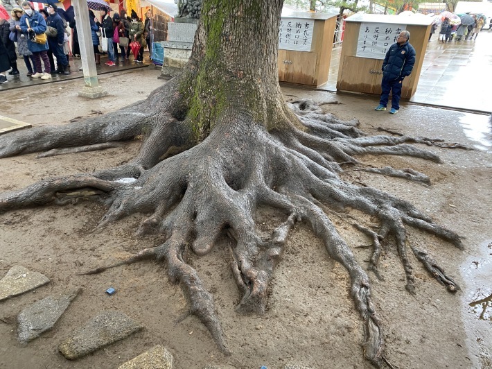 早稲田の穴八幡神社へお参りに☆_c0152341_16052859.jpg
