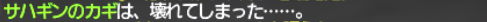 初心者・復帰者応援シリーズ ~乙女のヴィルレー~_e0401547_15455013.png