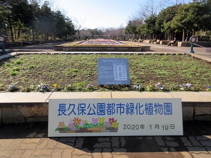 【お散歩長久保公園】富士山を求めて_b0009849_15541616.jpg